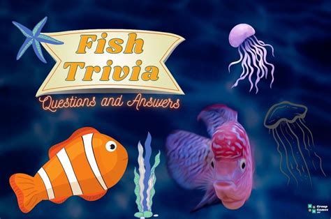 魚缸效應|MBA Trivia: The Fish Tank Effect